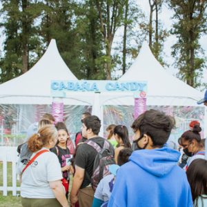 ARTELANDIA MALVINAS-33